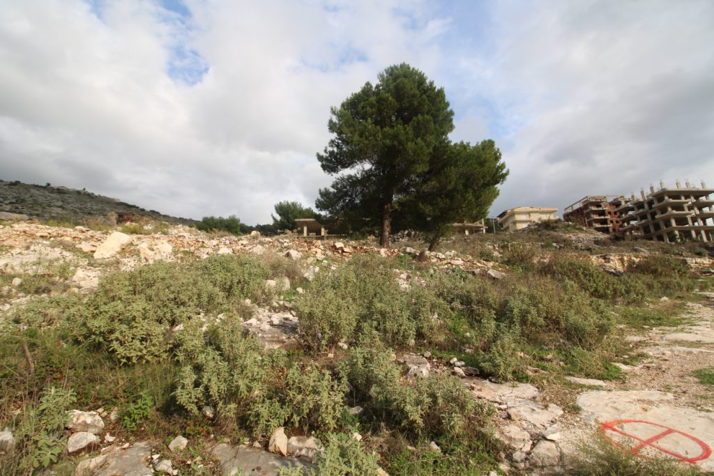 Bild 5 – Grundstück zum Verkauf in der Butrint-Straße, Saranda