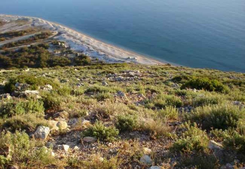 Bild 6 – Weideland zum Verkauf mit einer Fläche von 3834 m2 in Borsh, Saranda