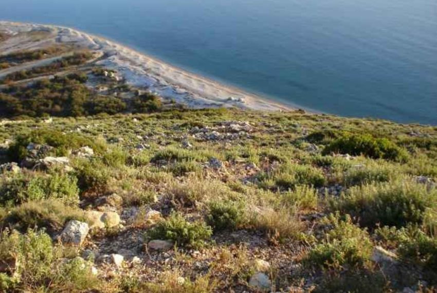 32f38db96658f7d4ca9f254006f1e24b