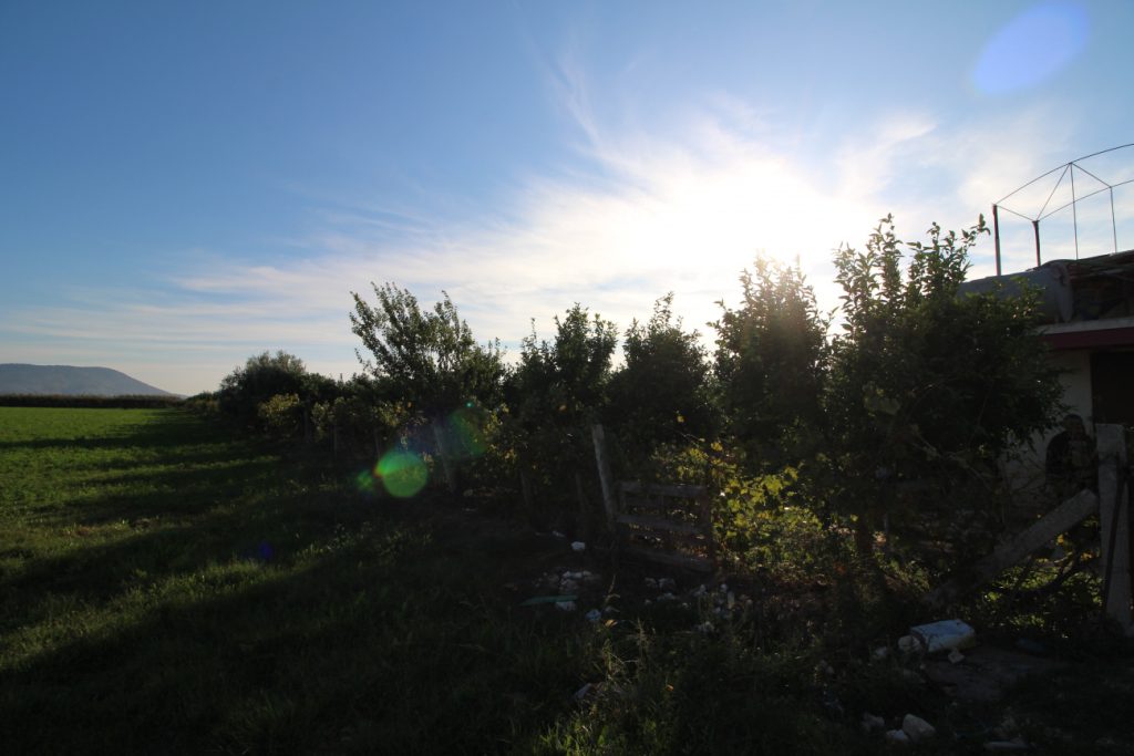 Bild 6 – Landwirtschaftliches Grundstück in Metoq, Sarandë, steht zum Verkauf