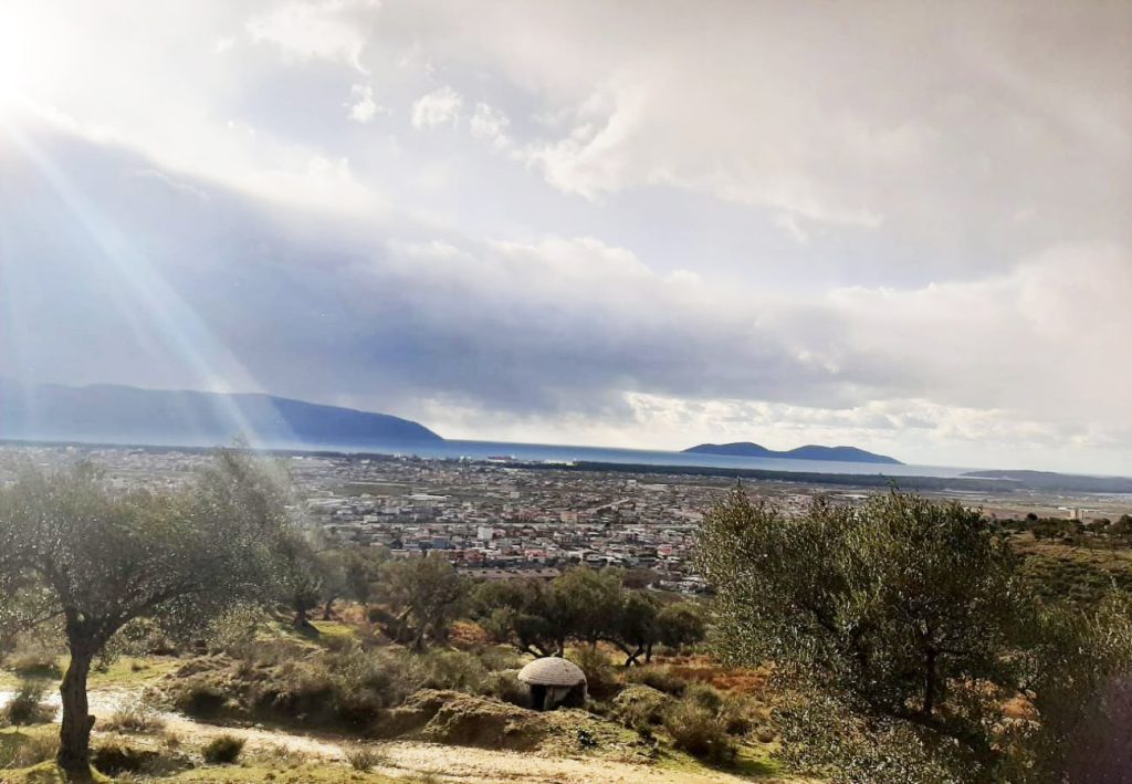 Bild 2 – Olivenhain wird im Viertel ‚Karabash‘, Vlora, verkauft