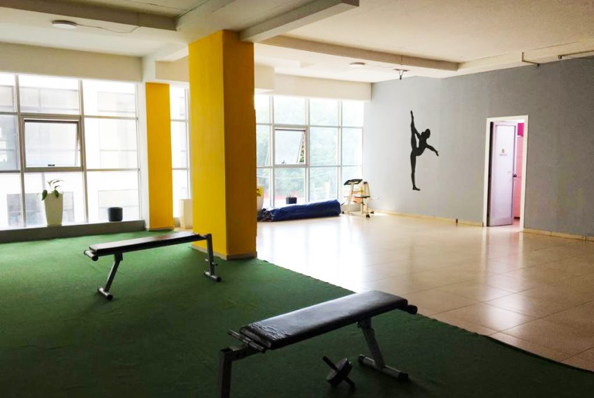 3746cb59347bce9ac3f97b87c3d34823