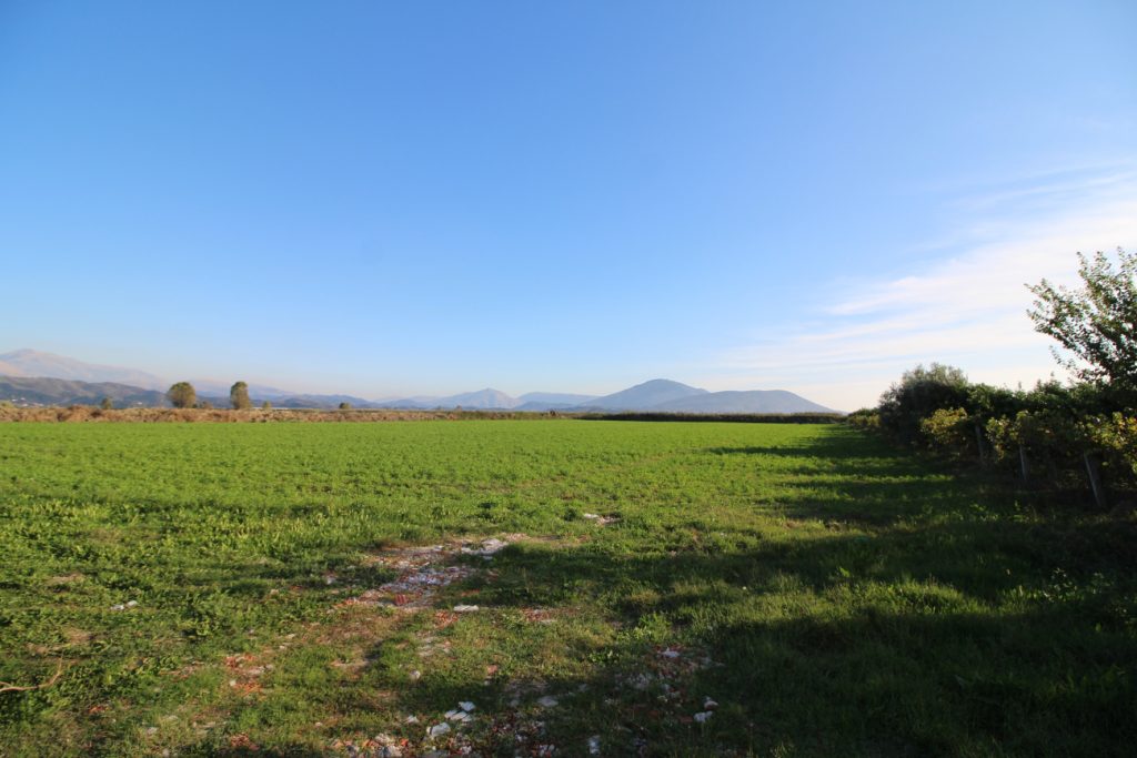 Bild 3 – Landwirtschaftliches Grundstück in Metoq, Sarandë, steht zum Verkauf