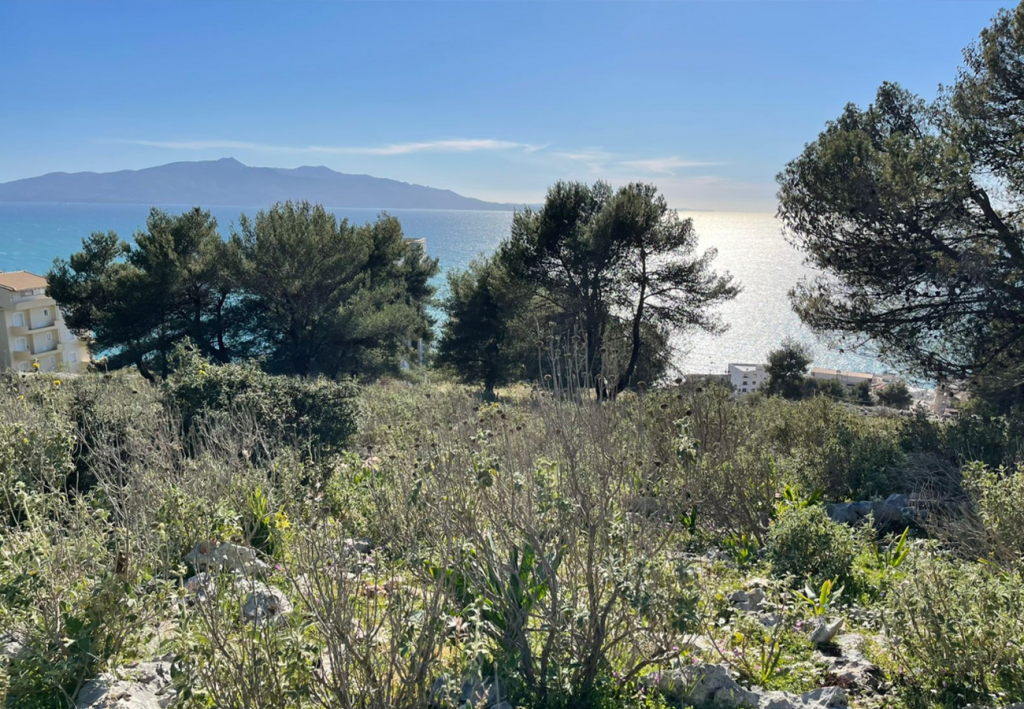 Bild 9 – Grundstück zum Verkauf in Saranda