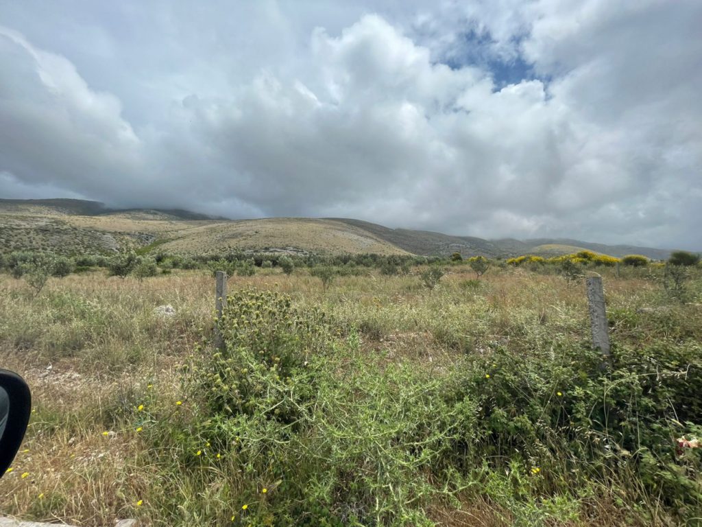 Bild 3 – ZU VERKAUFEN PRIVATES HAUS 3+2+1 IN KONISPOL + 3400 M2 OLIVENLAND (60 ANGEpflanzte OLIVENWURZELN)