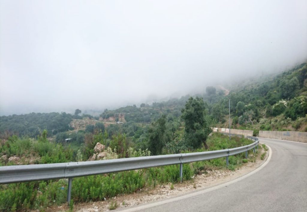 Bild 3 – Weideland zum Verkauf mit einer Fläche von 3834 m2 in Borsh, Saranda