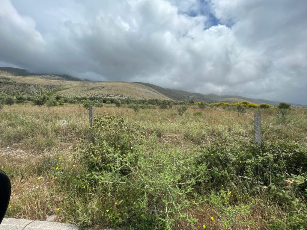 Bild 1 – ZU VERKAUFEN PRIVATES HAUS 3+2+1 IN KONISPOL + 3400 M2 OLIVENLAND (60 ANGEpflanzte OLIVENWURZELN)