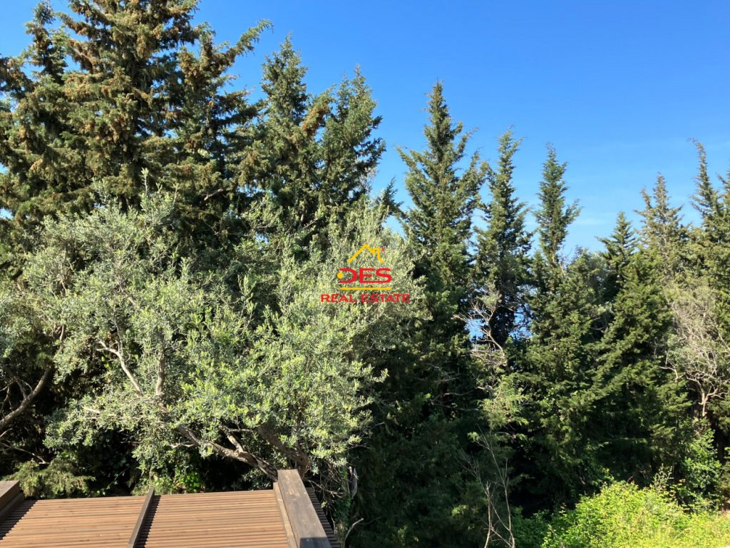 Bild 15 – JEPET VILE ME QIRA , OLEA RESIDENCE NE DHERMI