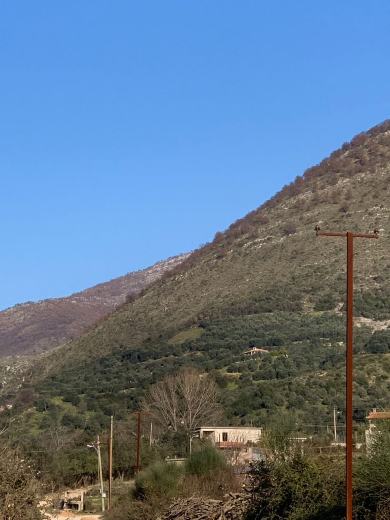 Bild 1 – VERKAUF: WALD IN NAVARICA, SARANDA