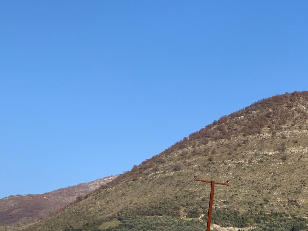 Bild 2 – VERKAUF: WALD IN NAVARICA, SARANDA