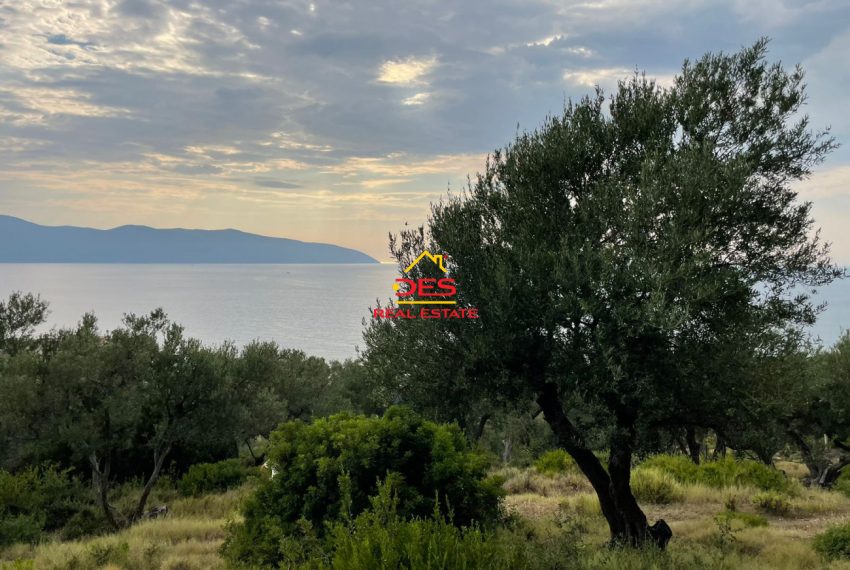 fgt