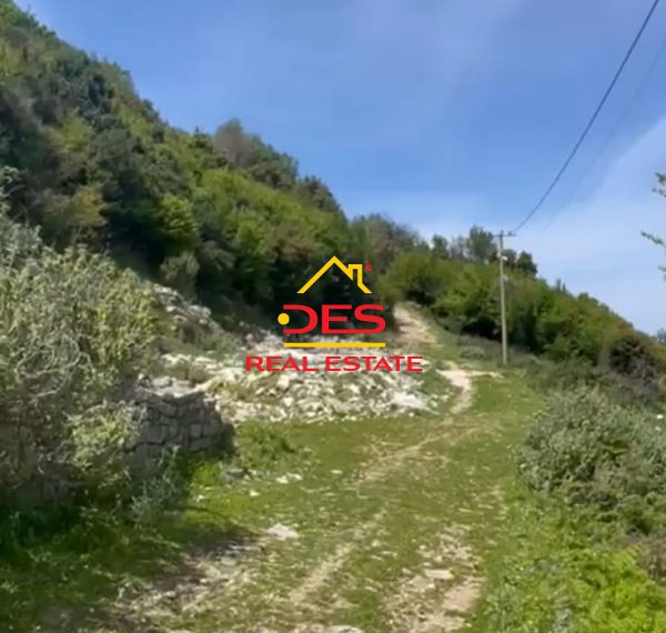 fsdg